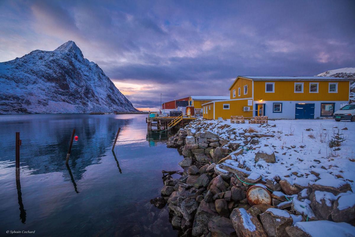 Photo of Arctic Coworking Lodge, located on a coast in the Arctic