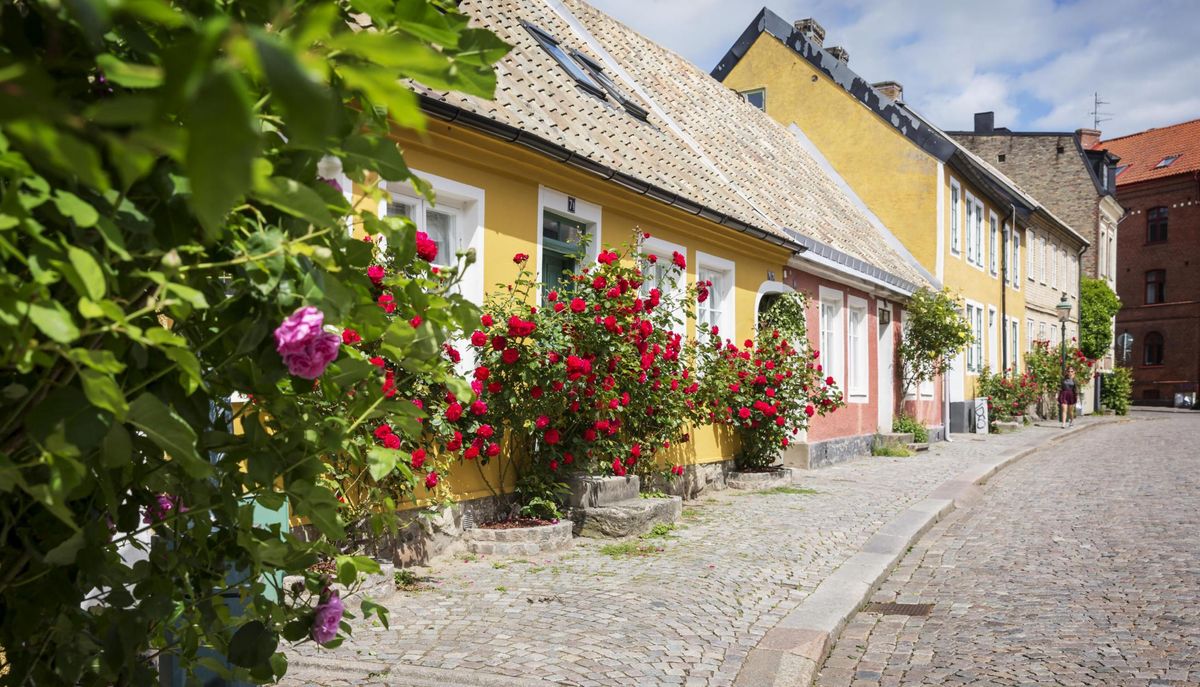 7 Steps to Finding a Student-Friendly Place in Lund, Sweden