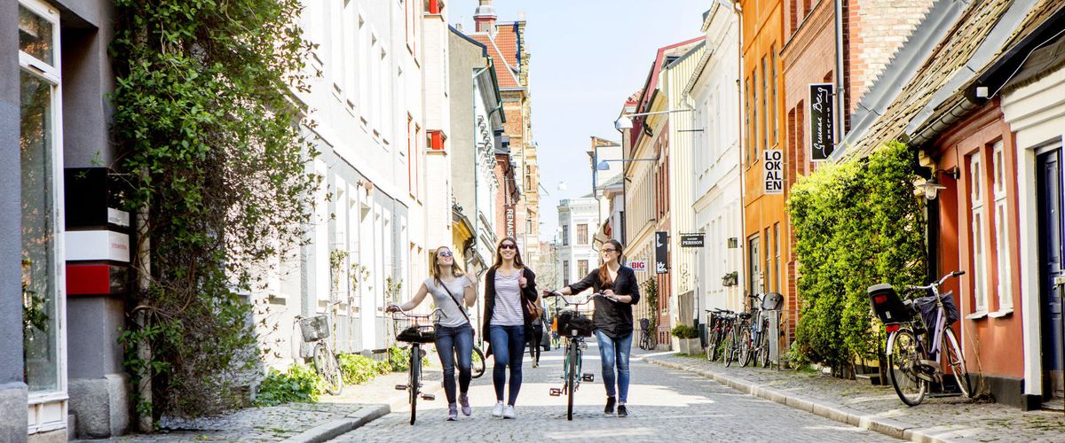 A Guide to Malmö's Student Life: A Deep Dive for International Students