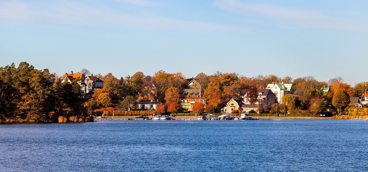 The Island Life: A Student's Guide to Living in Lidingö, Stockholm