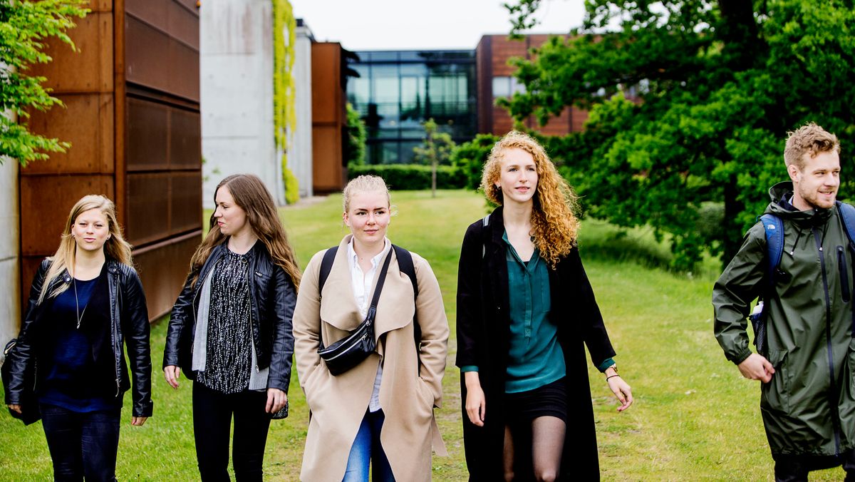 Denmark: The International Student's Gateway to Global Education