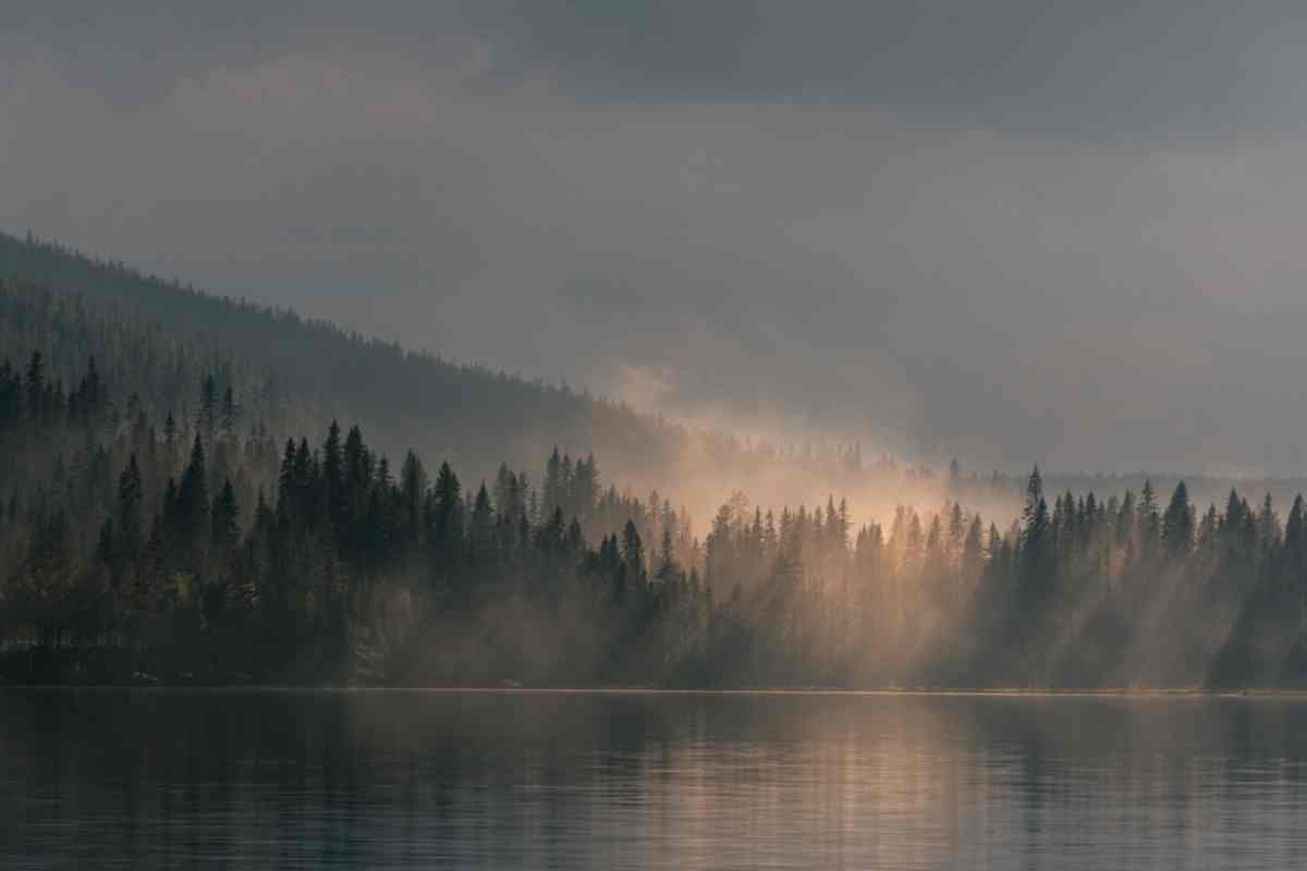 A Seasonal Guide for Young Professionals to Sweden’s Climate