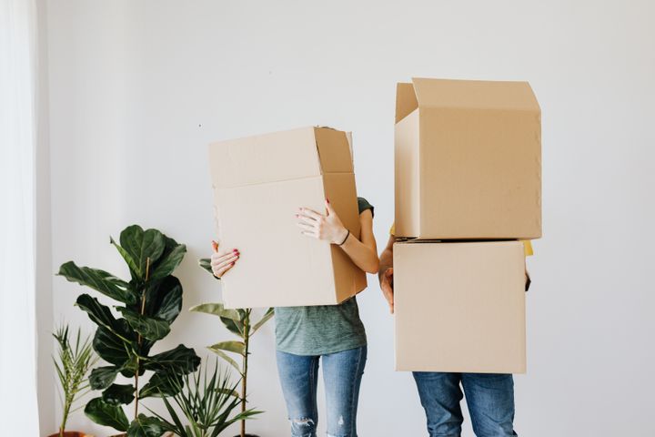 Image of two individuals carrying boxes and standing next to an assortment of plants against a plain background.