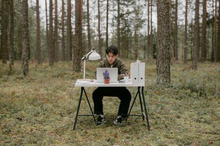 A man sitting on a table and working on a laptop in the middle of the woods