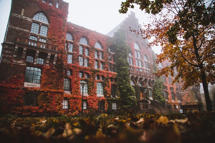 Climbing plants covering the frontage of the Lund University building