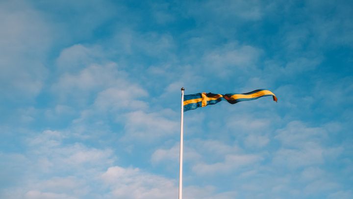 A Swedish flag on a pole