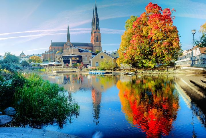 Discover Uppsala: The Best Neighborhoods for International Students