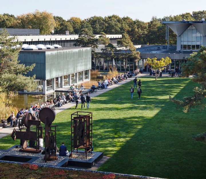 Students sitting around a green area at the Lyngby campus of the Technical University of Denmark